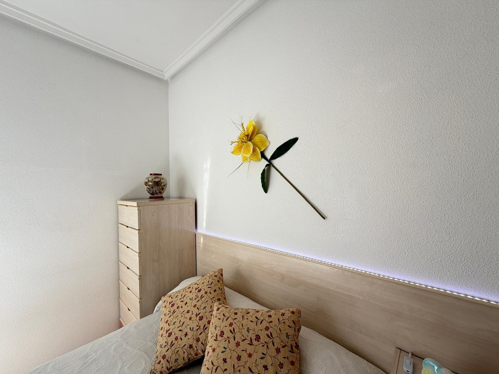Kattohuoneisto Torrevieja, Alicante, Espanja 2 makuuhuonetta, 72 m2 No. 165889