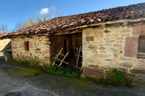 Willa w Teverga, Asturias, Hiszpania 135 mkw. nr 182978 – zdjęcie 5