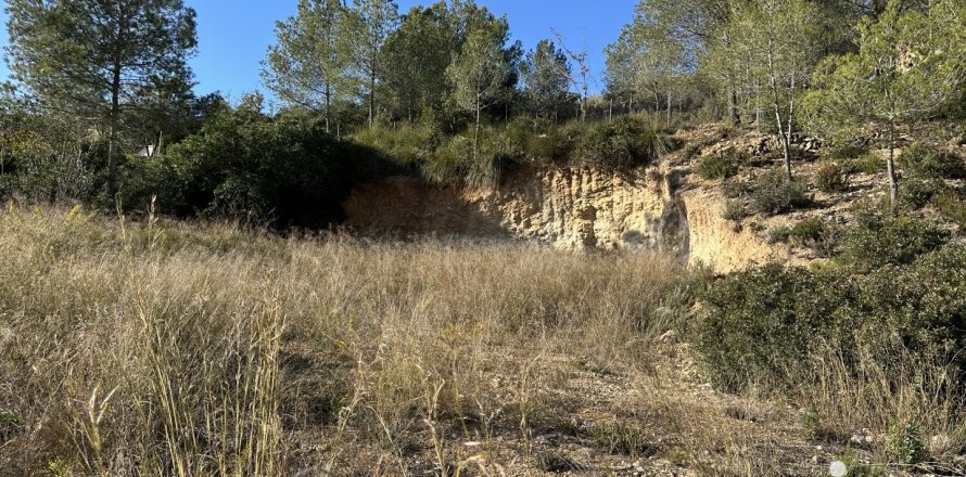 Land in Olivella, Barcelona, Spanien 585 m2 Nr. 186044