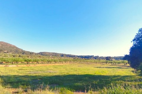 Продажа земельного участка в Джинестар, Таррагона, Испания 46313м2 №185942 - фото 2