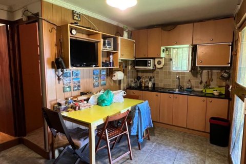 Продажа квартиры в Сан-Искле-де-Вальяльта, Барселона, Испания 1 спальня, 30м2 №191109 - фото 3