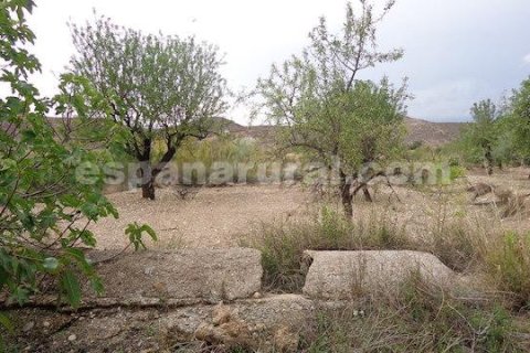 House for sale in Albox, Almeria, Spain 3 bedrooms, 120 sq.m. No. 184063 - photo 14