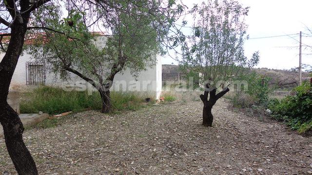 House à Albox, Almeria, Espagne 3 chambres, 120 m2 No. 184063