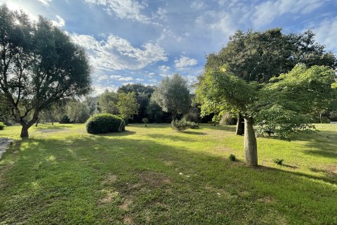 Villa īrēšanai Buger, Mallorca, Spānijā 3 istabas, 112 m2 Nr. 140593 - attēls 23