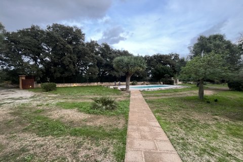 Villa īrēšanai Buger, Mallorca, Spānijā 3 istabas, 112 m2 Nr. 140593 - attēls 22