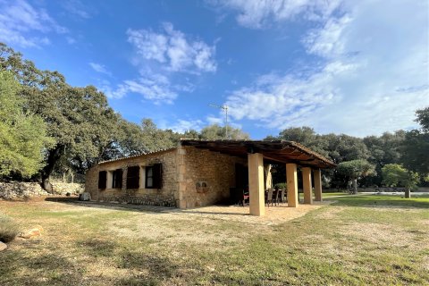 Villa īrēšanai Buger, Mallorca, Spānijā 3 istabas, 112 m2 Nr. 140593 - attēls 17