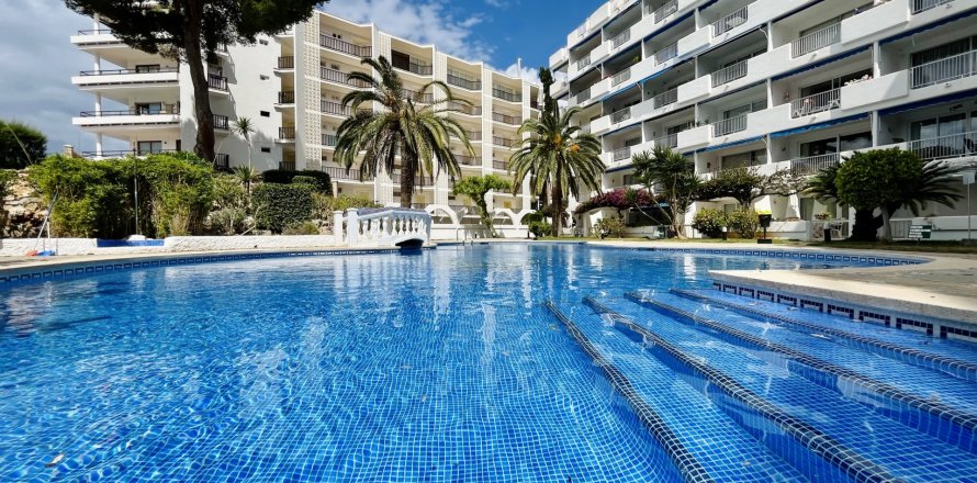 Apartament w Santa Ponsa, Mallorca, Hiszpania 2 sypialnie, 80 mkw. nr 140594