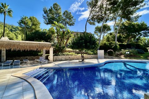 Продажа квартиры в Санта-Понса, Майорка, Испания 3 спальни, 232м2 №140592 - фото 20