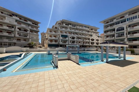 Apartment à Torrevieja, Alicante, Espagne 1 chambre, 47 m2 No. 184298