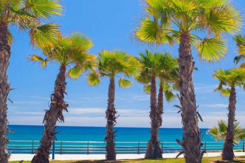 Penthäuser zum Verkauf Cabo Roig, Alicante, Spanien 2 Schlafzimmer, 75 m2 Nr. 110115 - Foto 19