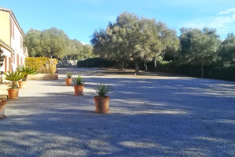 Finca īrēšanai Manacor, Mallorca, Spānijā 2 istabas, 157 m2 Nr. 142407 - attēls 10