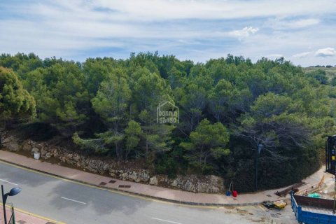 Land plot for sale in Es Mercadal, Menorca, Spain 4 bedrooms, 253 sq.m. No. 142405 - photo 6