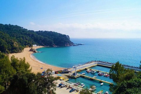 House à vendre à Lloret de Mar, Girona, Espagne, 5 chambres, 340 m2 No. 168471 - photo 4