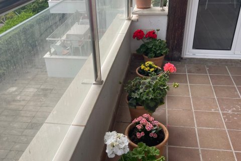 Apartment for rent in Port D'alcudia, Mallorca, Spain 2 bedrooms, 72 sq.m. No. 149503 - photo 11