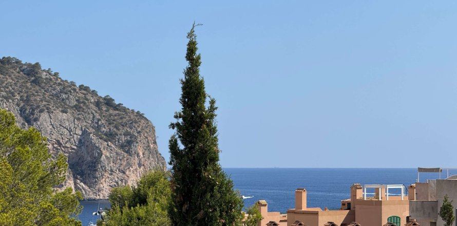 Villa El Camp De Mar, Mallorca, Spānijā 2 istabas, 165 m2 Nr. 149499