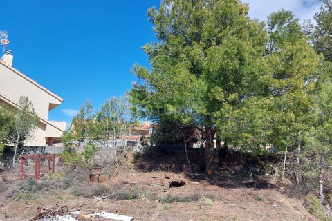 Terreno in vendita a Sentmenat, Barcelona, Spagna N° 186644 - foto 18