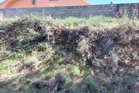 Terreno in vendita a Sentmenat, Barcelona, Spagna N° 186644 - foto 11
