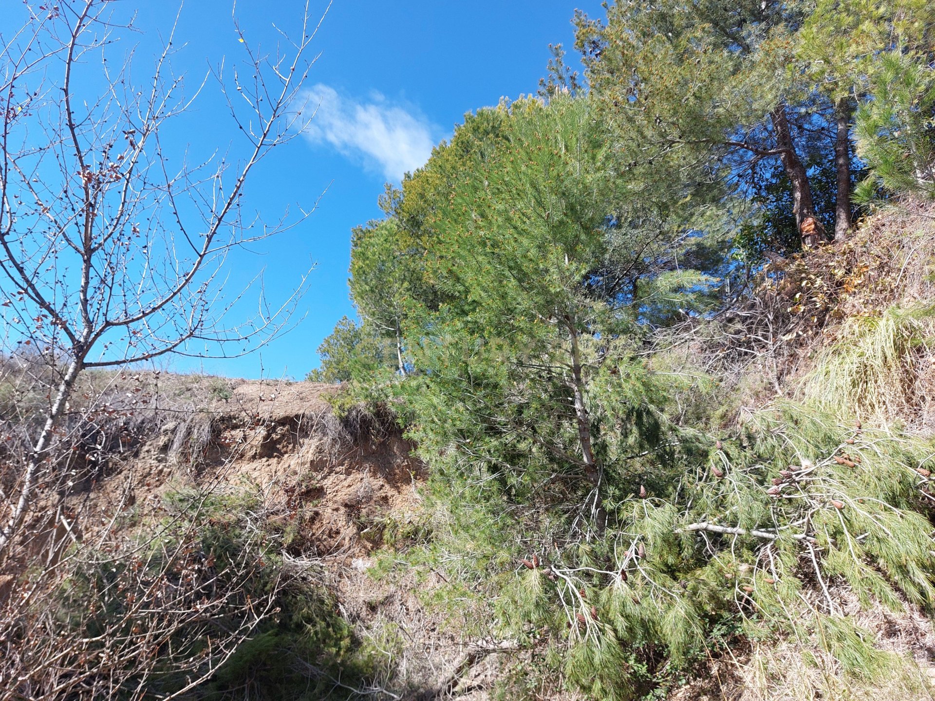 Tontti Sentmenat, Barcelona, Espanja No. 186644