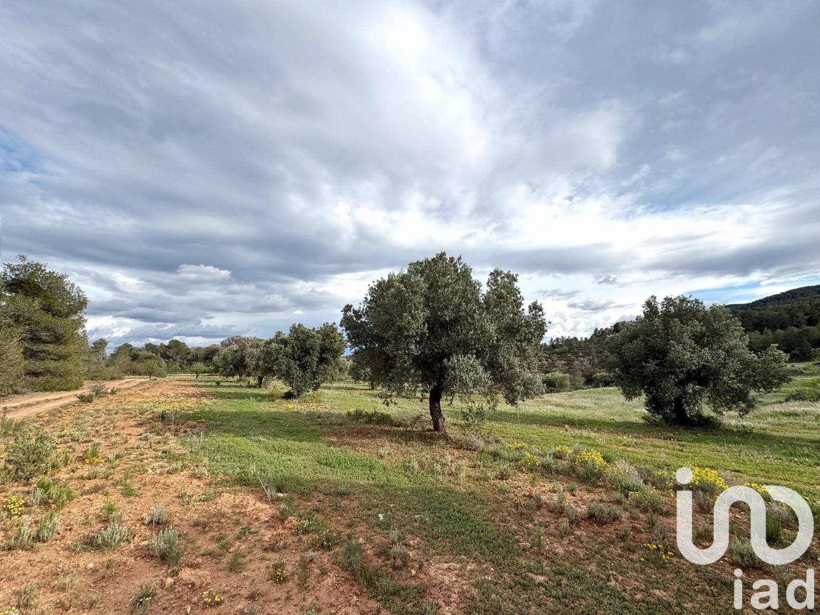 Commercial property in Asco, Tarragona, Spain No. 185926