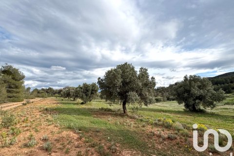 Propiedad comercial en venta en Ascó, Tarragona, España No. 185926 - foto 6