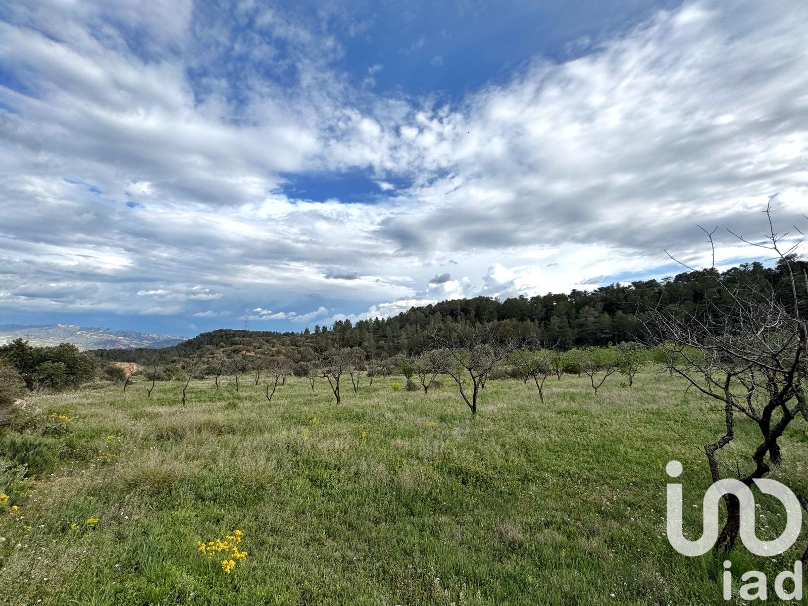 Commercial property in Asco, Tarragona, Spain No. 185926