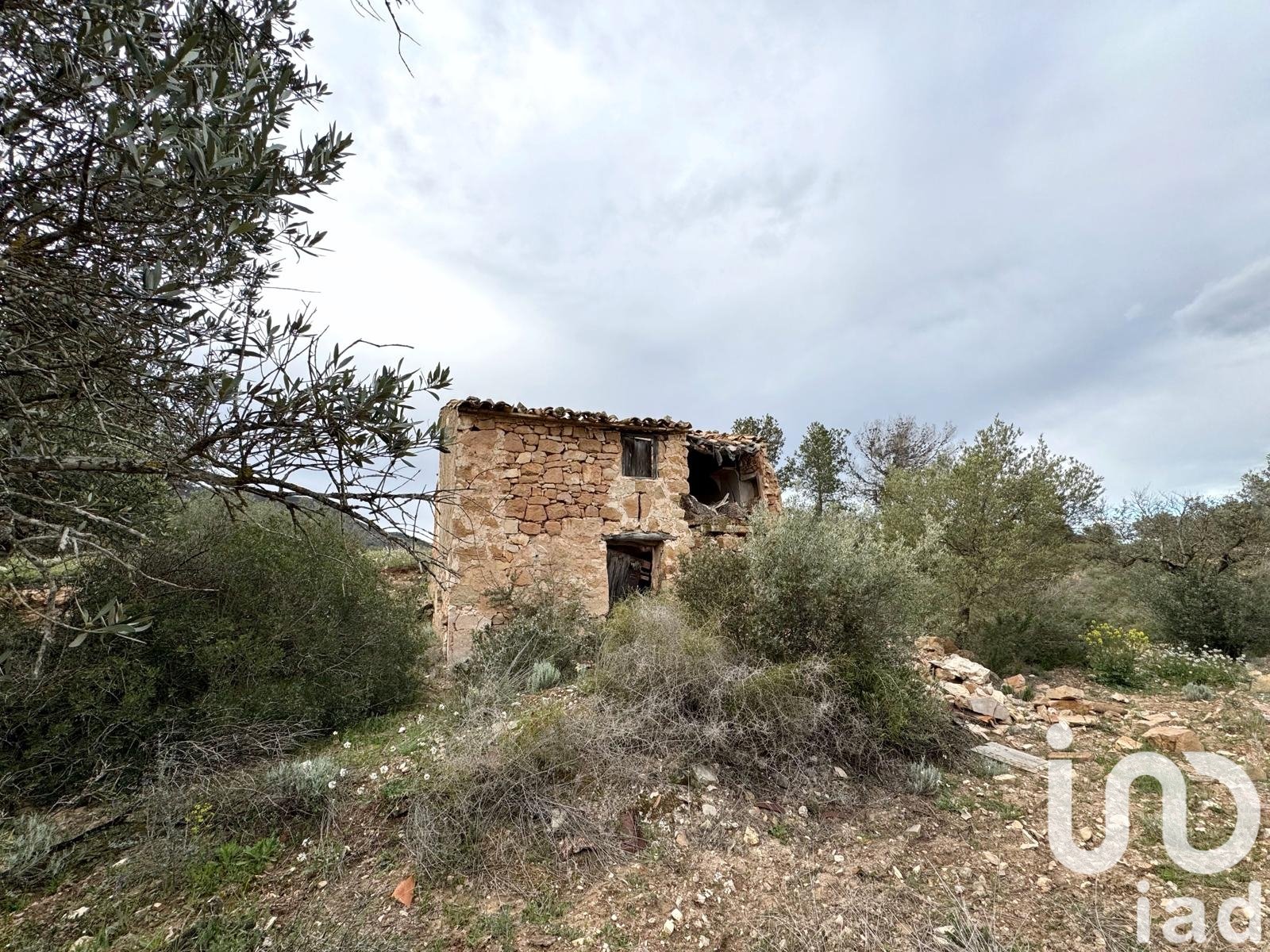 Commercial property in Asco, Tarragona, Spain No. 185926