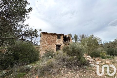 Propiedad comercial en venta en Ascó, Tarragona, España No. 185926 - foto 4