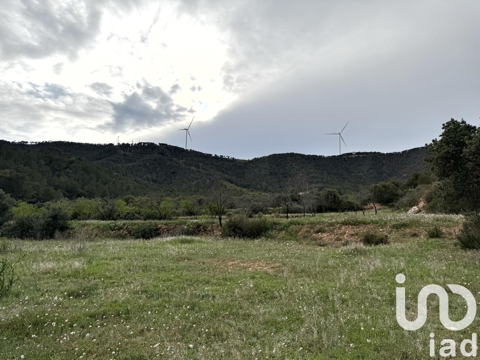 Commercial property in Asco, Tarragona, Spain No. 185926