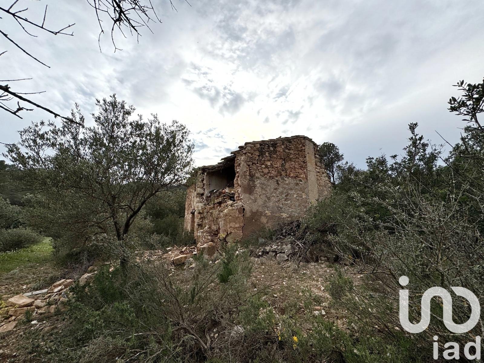 Commercial property in Asco, Tarragona, Spain No. 185926