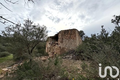 Propiedad comercial en venta en Ascó, Tarragona, España No. 185926 - foto 3