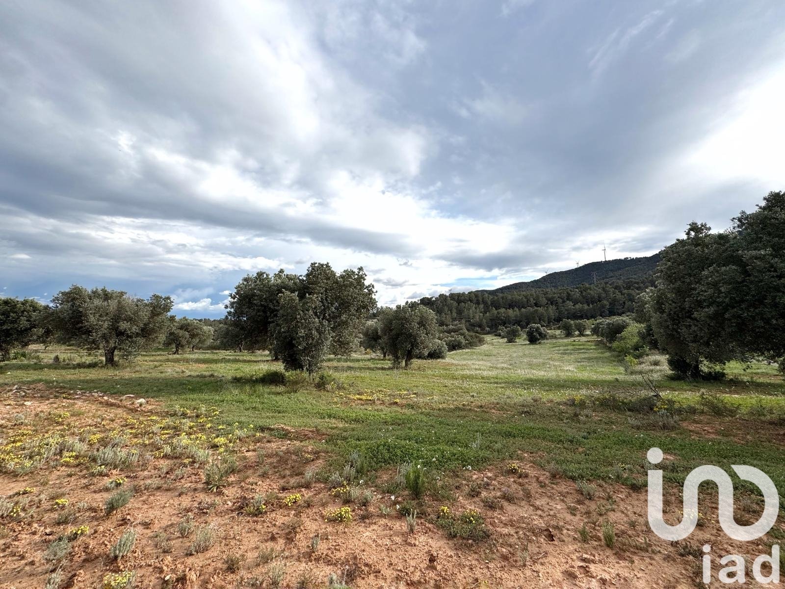 Commercial property in Asco, Tarragona, Spain No. 185926
