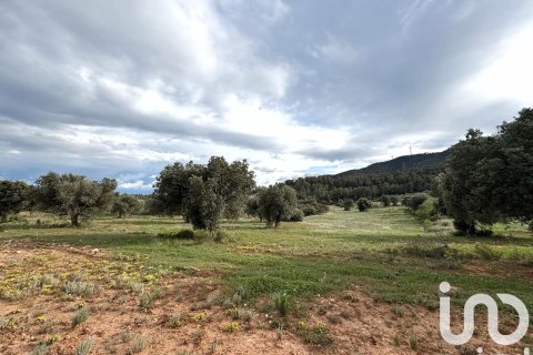 Propiedad comercial en venta en Ascó, Tarragona, España No. 185926 - foto 10