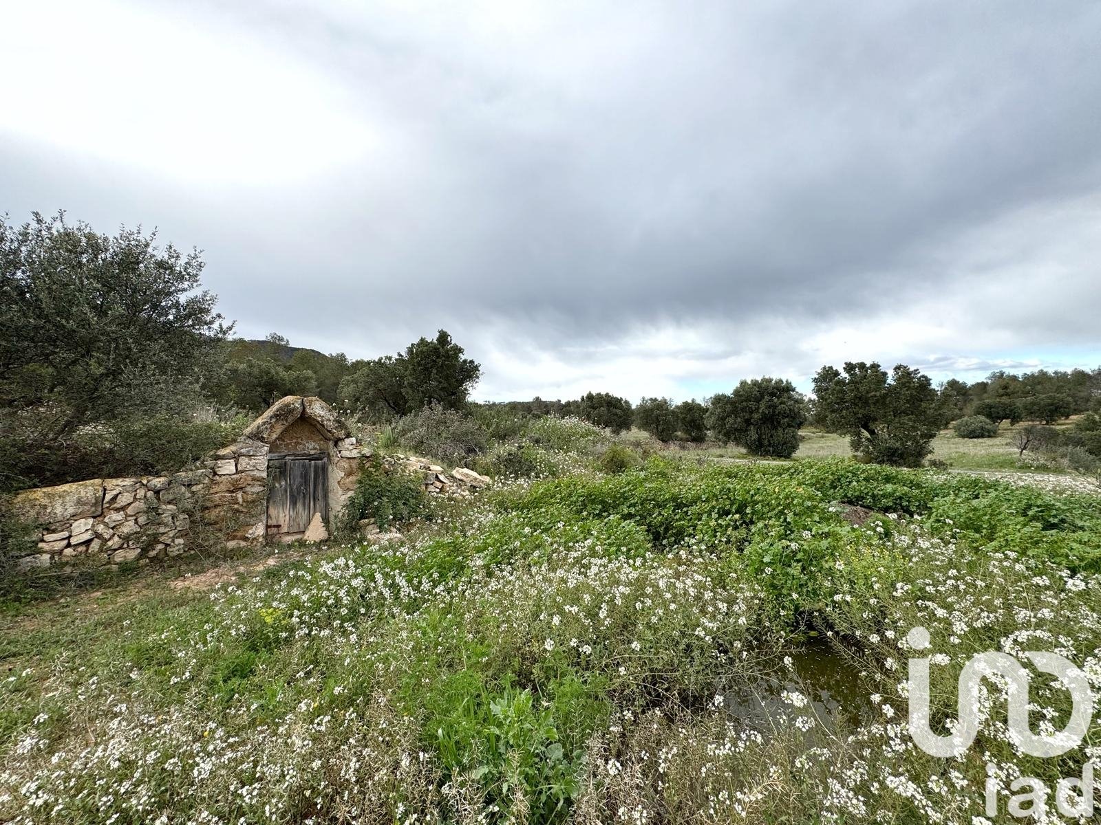 Commercial property in Asco, Tarragona, Spain No. 185926