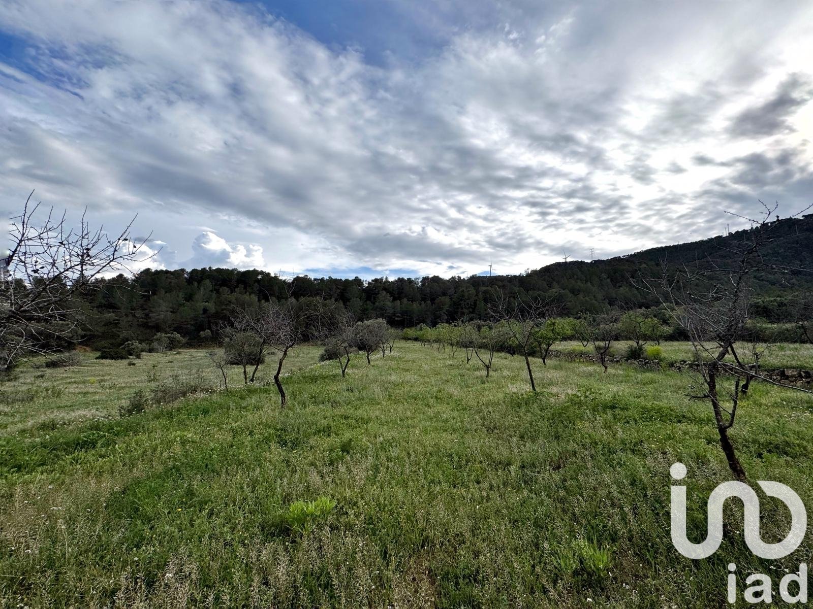 Commercial property in Asco, Tarragona, Spain No. 185926