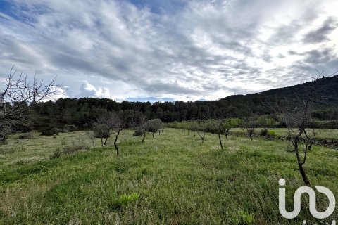 Propiedad comercial en venta en Ascó, Tarragona, España No. 185926 - foto 8