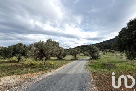 Propiedad comercial en venta en Ascó, Tarragona, España No. 185926 - foto 7