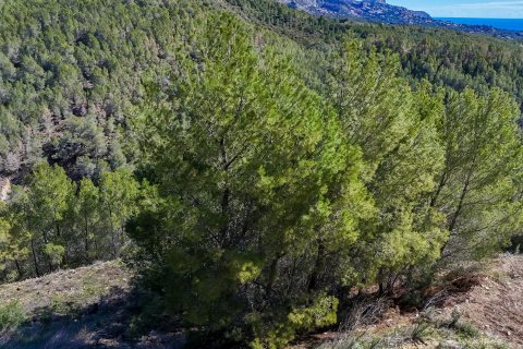 Działka w Altea, Alicante, Hiszpania 985 mkw. nr 168646 – zdjęcie 5