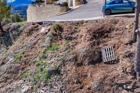 Land plot in Altea, Alicante, Spain 985 sq.m. No. 168646