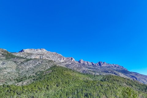 Działka w Altea, Alicante, Hiszpania 985 mkw. nr 168646 – zdjęcie 8