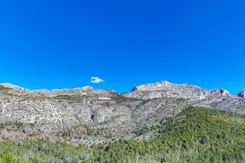 Działka w Altea, Alicante, Hiszpania 985 mkw. nr 168646 – zdjęcie 13