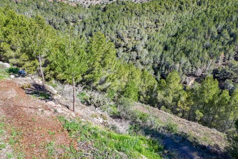 Działka w Altea, Alicante, Hiszpania 985 mkw. nr 168646 – zdjęcie 11