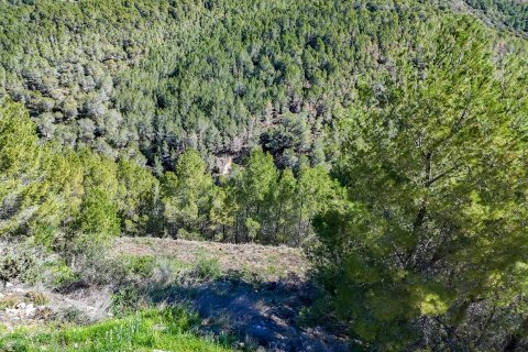 Działka w Altea, Alicante, Hiszpania 985 mkw. nr 168646 – zdjęcie 10