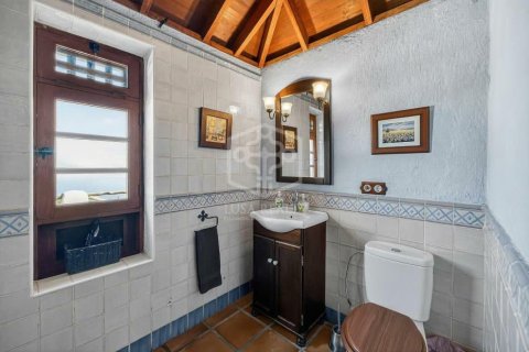 Villa in vendita a Icod de los Vinos, Tenerife, Spagna N° 168644 - foto 12