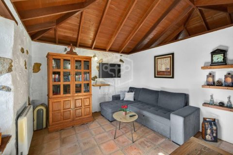 Villa in vendita a Icod de los Vinos, Tenerife, Spagna N° 168644 - foto 6