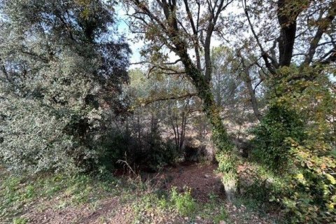 Land plot for sale in Caldes de Montbui, Barcelona, Spain No. 167196 - photo 4