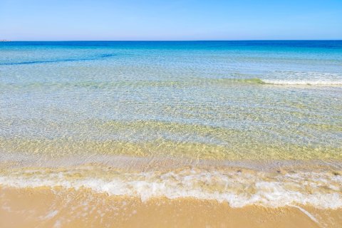 Wohnung zum Verkauf in Torre de la Horadada, Alicante, Spanien 3 Schlafzimmer, 84 m2 Nr. 145680 - Foto 19