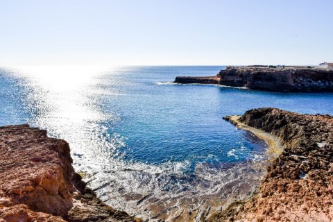 Apartament w Dehesa De Campoamor, Alicante, Hiszpania 3 sypialnie, 85 mkw. nr 144966 – zdjęcie 24