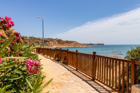 Apartament w Dehesa De Campoamor, Alicante, Hiszpania 3 sypialnie, 85 mkw. nr 144966 – zdjęcie 22