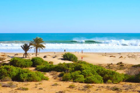 Villa zum Verkauf in Guardamar del Segura, Alicante, Spanien 4 Schlafzimmer, 269 m2 Nr. 144968 - Foto 19