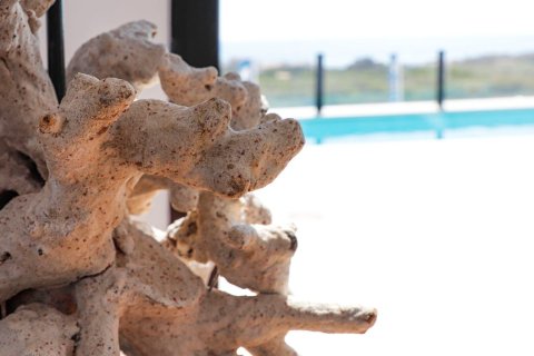 Villa zum Verkauf in Guardamar del Segura, Alicante, Spanien 4 Schlafzimmer, 269 m2 Nr. 144968 - Foto 17